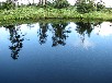 松山湿原